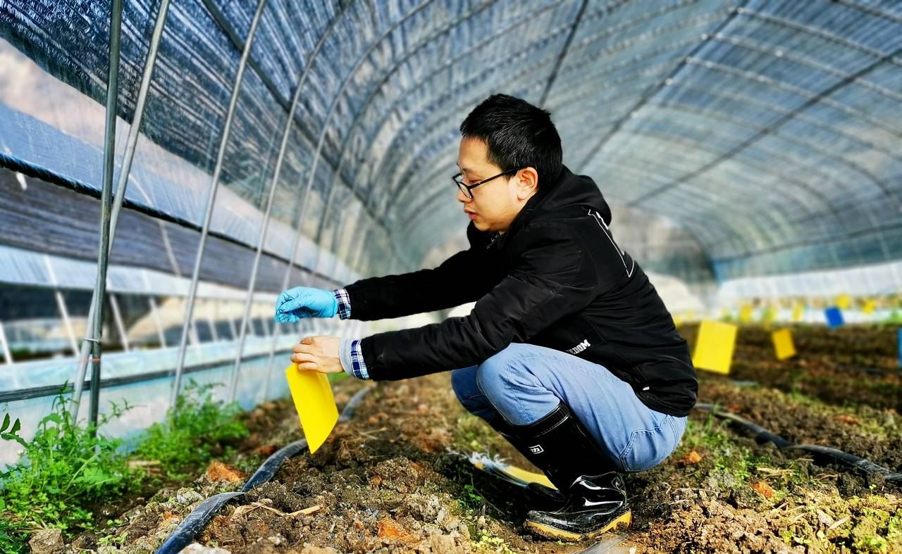 扎根田野，書(shū)寫(xiě)大地——記貴州理工學(xué)院教授柏松的自然科學(xué)研究之路